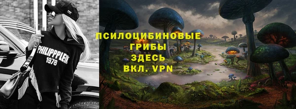 мяу мяу мука Бугульма