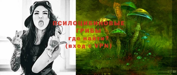 MDMA Бородино