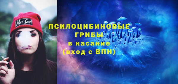 мяу мяу мука Бугульма
